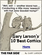 Gary Larson wrote his comic strips for syndication for over 15 years, each one is funny and some are perfect examples of what comic art can be. Jane Goodall's attorneys were preparing a lawsuit but stopped when they were told that Goodall thought it was awfully funny.